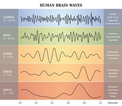 Human brainwaves synch during social interaction